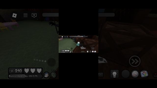 денди ран / Dandy Run  за брайтни