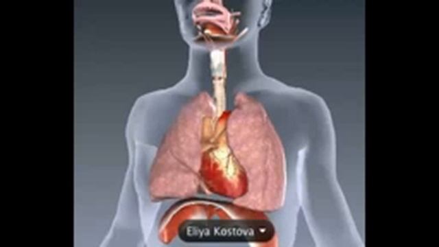5-ty Warsztat zdrowotny Paź 10 2014 część 1 смотреть онлайн
