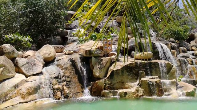 Алиса Лиса_#вьетнамские каникулы_nha trang i resort 2018 смотреть онлайн