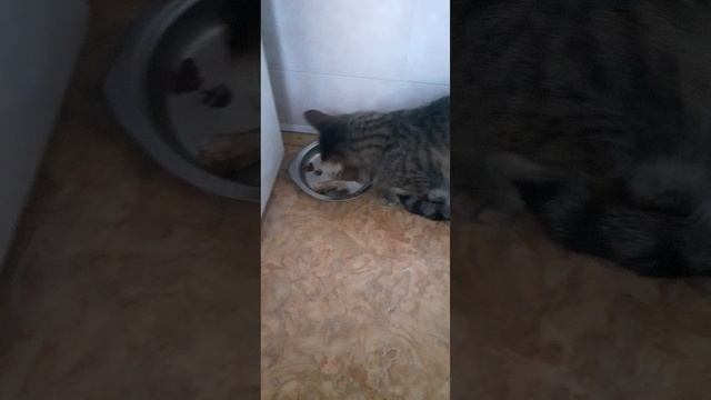 20250331_174510 смотреть онлайн
