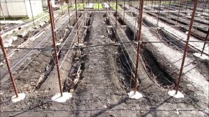 29-30 марта 2025 года.  Сергей Дьяков, г. Липецк. Я открываю виноград рано и вот почему...