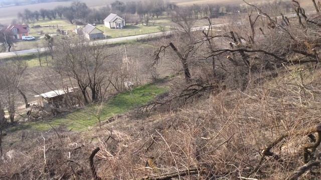 Празднование Нового года — библейское, и стада баранов. смотреть онлайн