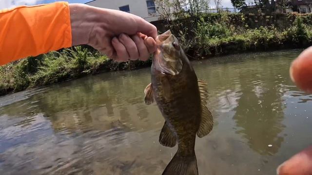 Creek Fishing For Beginners (Rapala Floating Minnow) смотреть онлайн