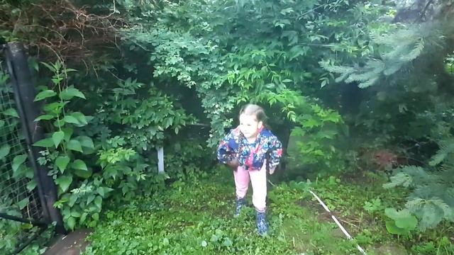 Аминка уехала на каникулы к деревню. смотреть онлайн