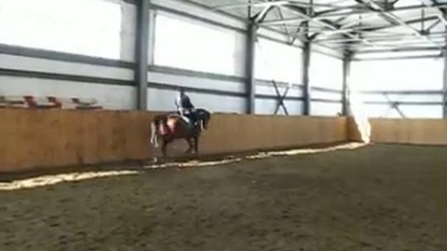 средняя рысь смотреть онлайн