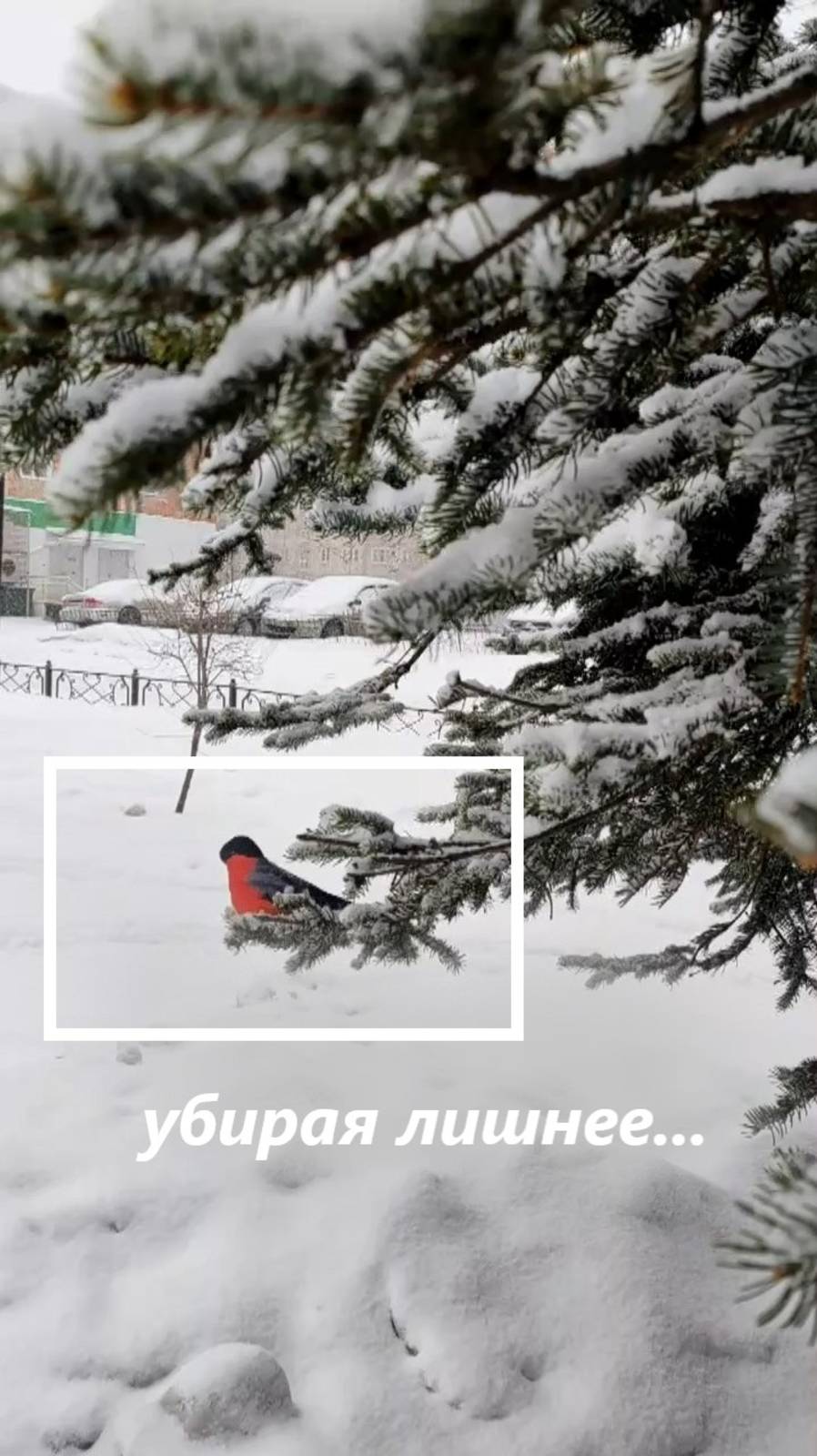 Искателям смыслов и новых точек развития... #shorts смотреть онлайн