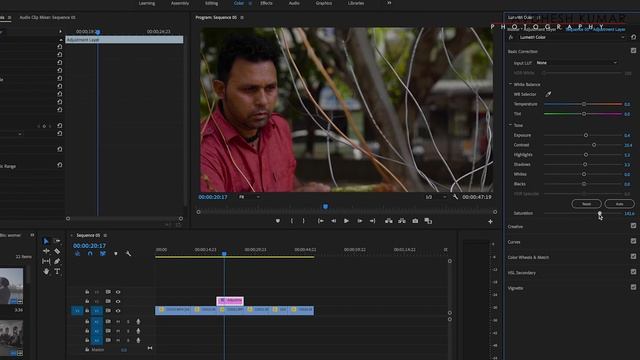 How To Color Grade S-LOG2 Footage In Premiere Pro