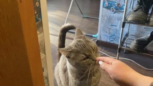 Норильск/ Встреча с любимой кошкой❤️.