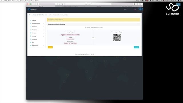 Оплата робота ТИКИ в SureOne смотреть онлайн