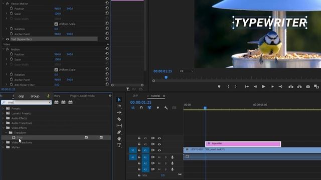 how to do typewriter effect in premiere pro смотреть онлайн