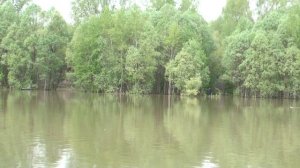 Первый выезд на рыбалку. Протока р. ОБЬ.