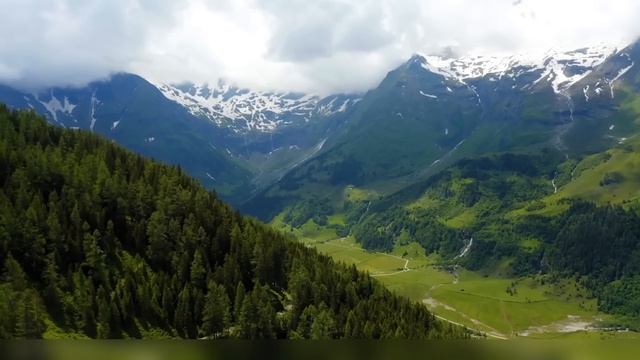 Oldies Mix 50s 60s Rock n Roll 🔥 Rare Rock n Roll Tracks of the 50s 60s 🔥Rock n Roll 50s 60s смотреть онлайн