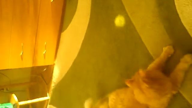 MOV_2197.mp4 смотреть онлайн