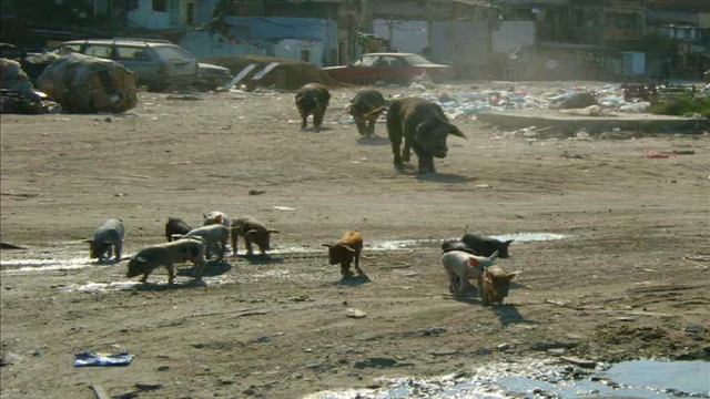 VISUAL; Ubirajara Rodrigues смотреть онлайн