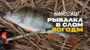 Микроджиг Наноджиг Рыбалка Ультралегким Спиннингом в Слом Погоды