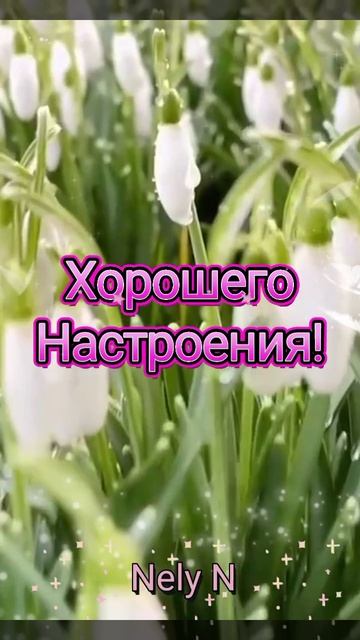 Доброе Утро. Видеооткрытка на каждый день смотреть онлайн