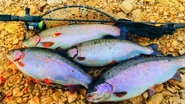 ПАЛЬ ЛОВИТ ФОРЕЛЬ 100% Рыбалка на спиннинг Ловля форели ТРИАЛ Русская рыбалка