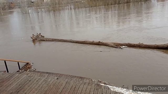 река Ашкадар город Стерлитамак потоп продолжается вода поднялась еще на метр смотреть онлайн