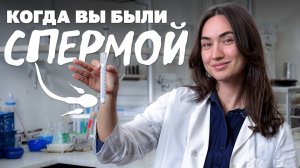 Что с вами было до рождения