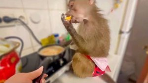 Смех! ХОЗЯЙКА КВАРТИРЫ Люська вернулась домой и моментально навела свой порядок