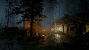 Сегодня ночью лучше спится. Дождь и ветер в лесу. Хижина ASMR для снятия стресса и тревоги