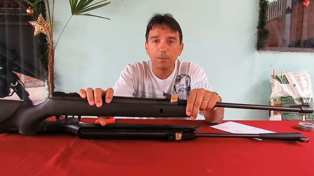 Comparativo: Cometa 220 e Gamo Big Cat (calibres 4.5) смотреть онлайн