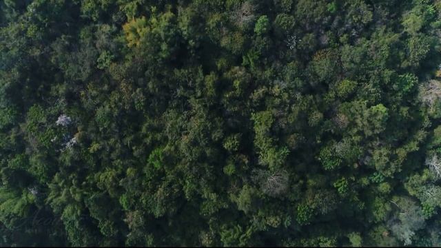 BEAUTIFUL ACOUSTIC WITH NATURE | REALISTIC SCENES FROM FOREST, RIVERS, MOUNTAINS AND STREAMS смотреть онлайн