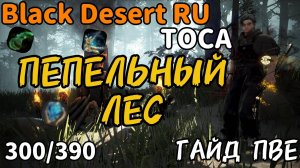 ✅ГАЙД ✅ПЕПЕЛЬНЫЙ ЛЕС✅ ТОСА ✅ Black Desert.