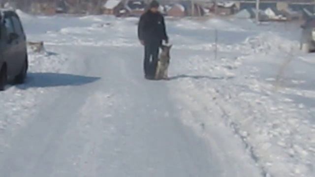 фусс смотреть онлайн