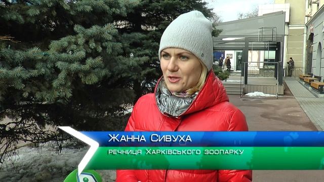 На вольєри для жирафів і бегемотів у Харківському зоопарку витратять 111 мільйонів смотреть онлайн