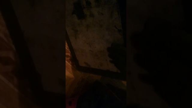 ПОИСК НА МАГНИТ.ОГО Достали сейф смотреть онлайн