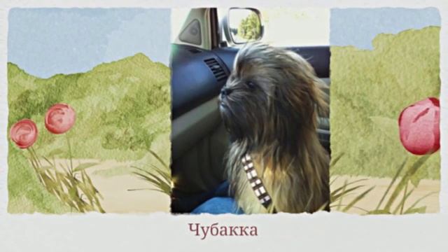 Эти удивительные собаки смотреть онлайн