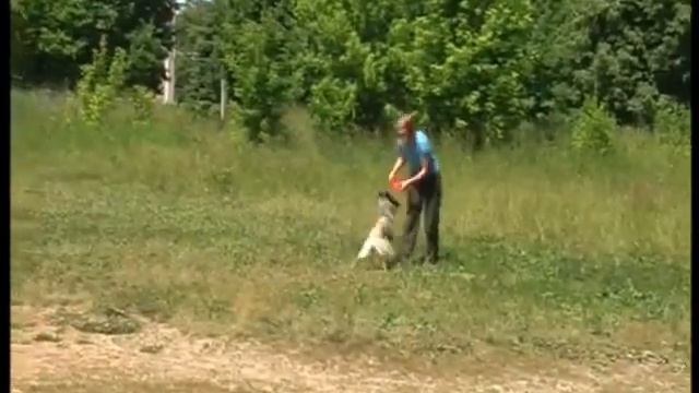 Фризби, Йошкар-Ола смотреть онлайн