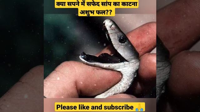 सपने में सफेद सांप काटने का फल #shorts #trending #viral #astrology #dream #ytshorts смотреть онлайн