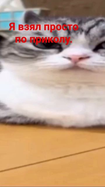 не надо кидать жалобу