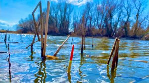 Весенний сазан на поплавок Ловим сазана на поплавок