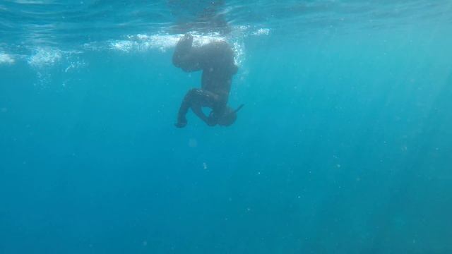 Tony freediving in Catalina смотреть онлайн