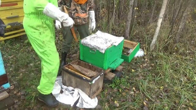 Деревенский Блокнот,Продолжает Сезон, Осенняя Ревизия смотреть онлайн