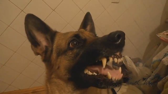 САМЫЕ СМЕШНЫЕ ПРИКОЛЫ #3 (ПОДБОРКА) смотреть онлайн