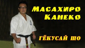 Киокусинкай.Гёкусай Шо(Масахиро Канеко)