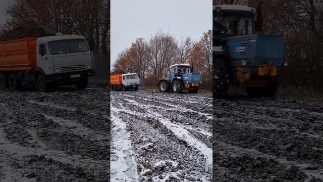 Уборка сахарной свёклы 2023. ХТЗ взял на буксир Камаз #farmer #деревня #мтз #село #трактор #свекла