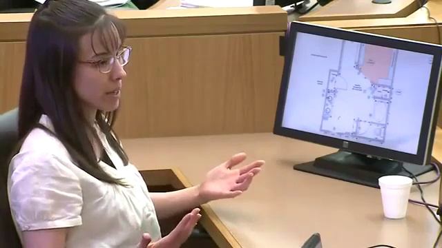 Jodi Arias Trial Day 28 (Full) смотреть онлайн