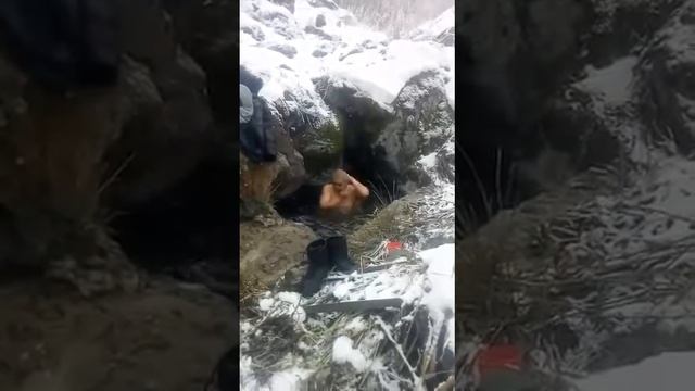 Капальские моржи смотреть онлайн