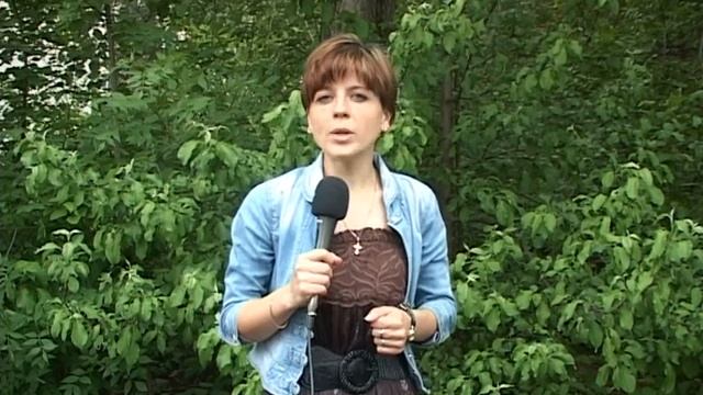 Погода на 17 18 мая