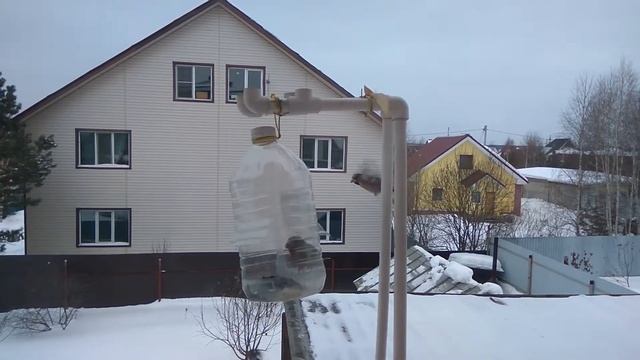 Синицы, снегири, дубоносы... смотреть онлайн