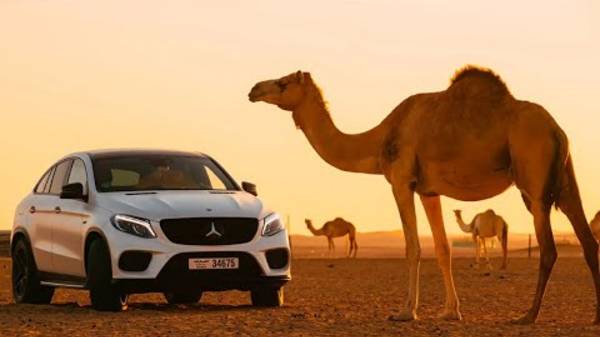 Дирхам к рублю и доллару 2023 Что посмотреть в Дубае Как сэкономить на экскурсиях смотреть онлайн