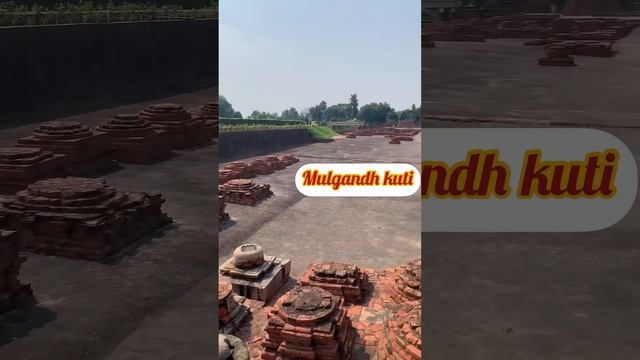 History of Sarnath, Dhamek Stupa, Mulgandha kuti, Sarnath temple, Sarnath varanasi смотреть онлайн