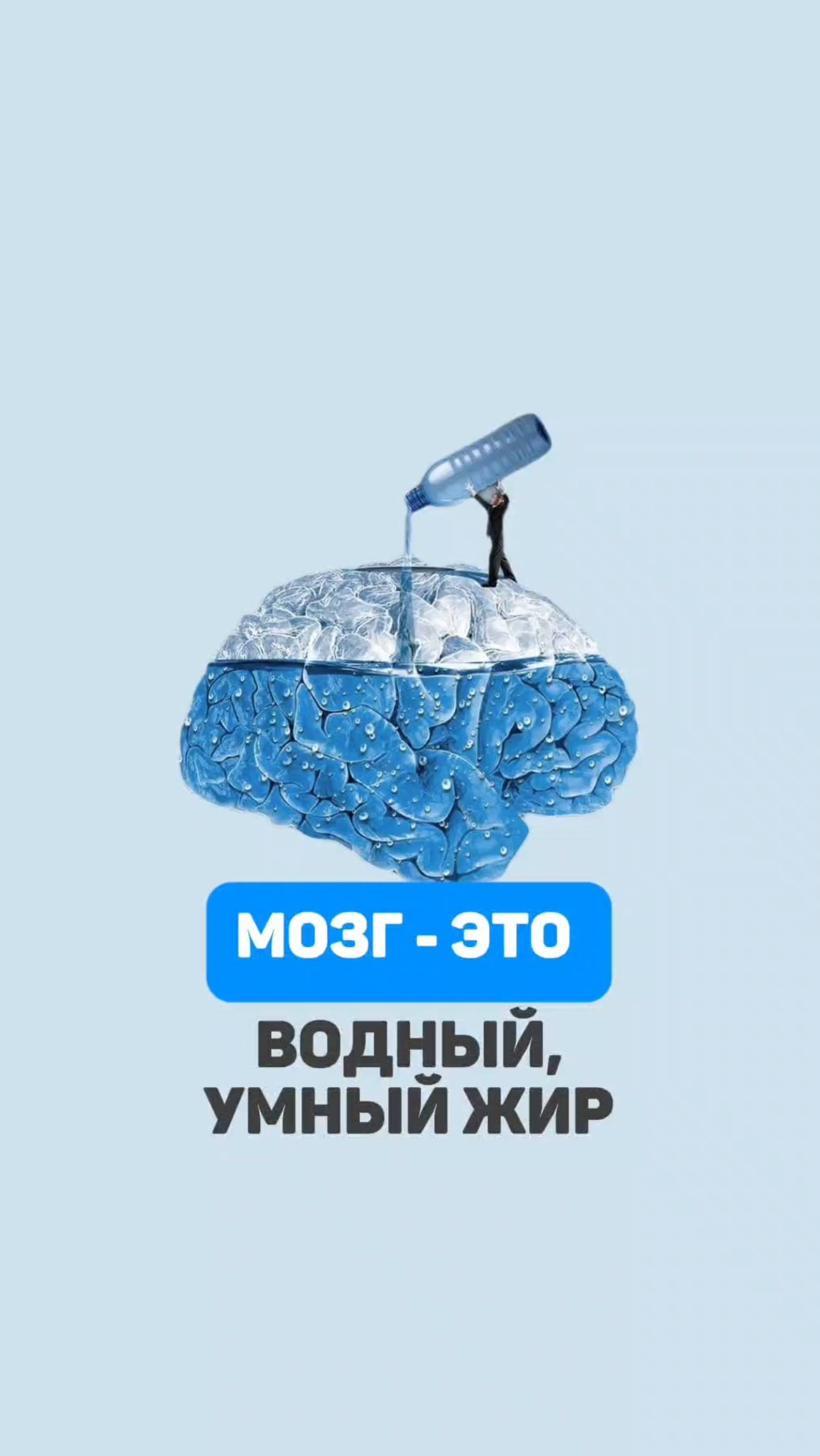 Мозг - это водный умный жир. Алена Братишко смотреть онлайн