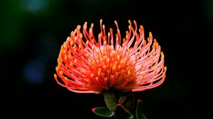 ✨ ДО МУРАШЕК ПО ТЕЛУ ОЧЕНЬ КРАСИВАЯ МУЗЫКА ДЛЯ ДУШИ 🎵 РАССЛАБЛЯЮЩАЯ МУЗЫКА ДЛЯ СНА И МЕДИТАЦИИ