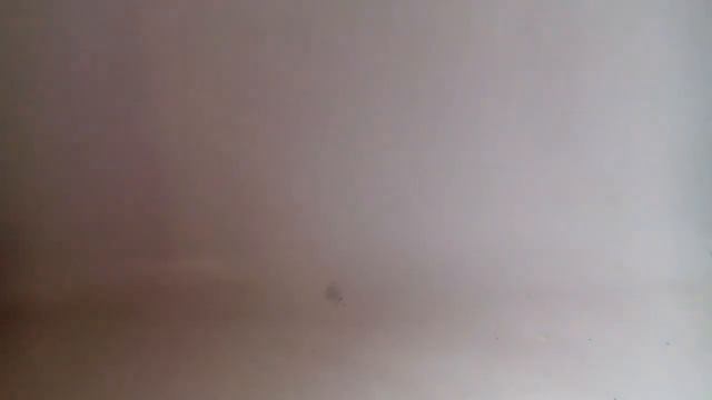 И снова покупки.